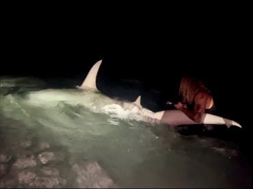 Drop Zone Beach Shark Fishing – Tampa thumbnail