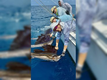 Fishing Charters in Cancun – BLACKFIN 35 thumbnail