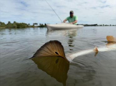 BackWater Lagoon Kayaking Charters thumbnail