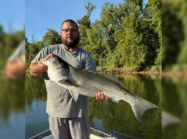 Hybrid striped bass and crappie