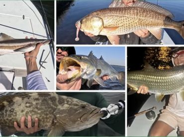 Andy’s Fishing Charters