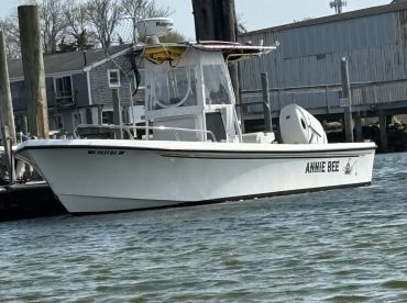 Annie Bee Sportfishing 🐝