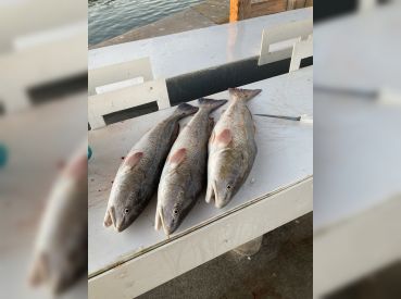 Murky Water Charter – Bay Specialist thumbnail