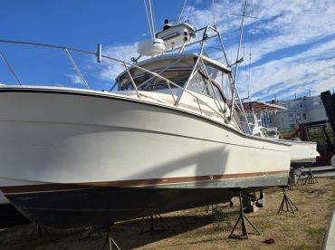 Offshore Account LLC