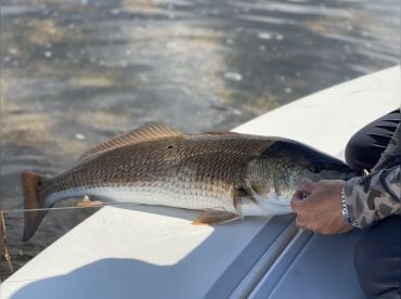 Bad Company Charters – Florida Bay&Key Largo thumbnail