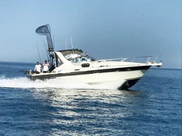 Niagara Fishmaster Ultimate thumbnail