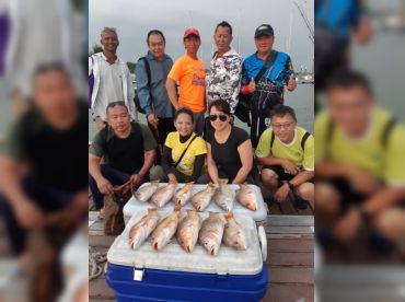 Accureal Allseas 1000 thumbnail