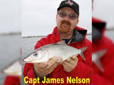 Captain James Nelson thumbnail