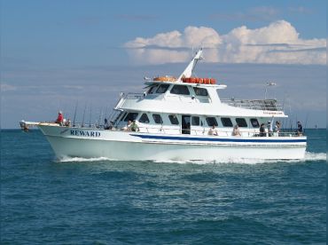 Reward Fishing Fleet - Party Boat thumbnail