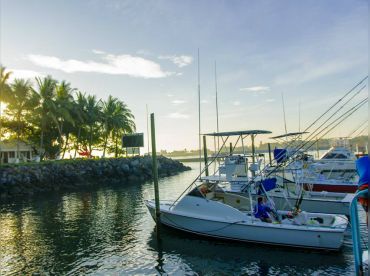 The Hook Fishing & Accommodation