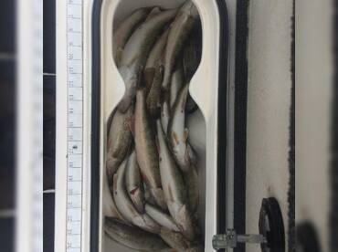 GT Charter Services thumbnail