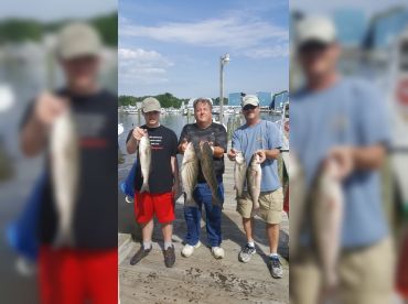 Vickie Ann Charters thumbnail