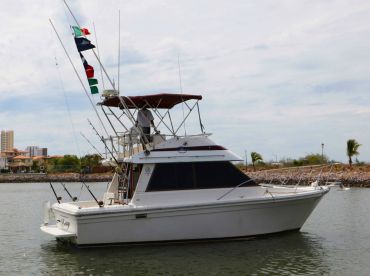 Escualo Fleet – Betsy 38' thumbnail