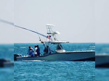 Afishinado VB Fishing Charters thumbnail