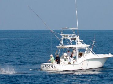 Makina Sportfishing thumbnail