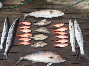 Coastal Ga Fishing - Midway thumbnail