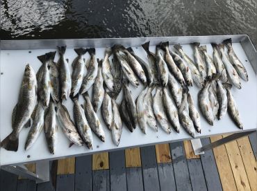 Bayou Obsession Charters