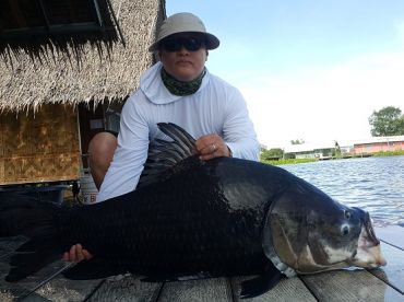BKK Fishing Tour – Giant Catfish/Siamese Carp thumbnail