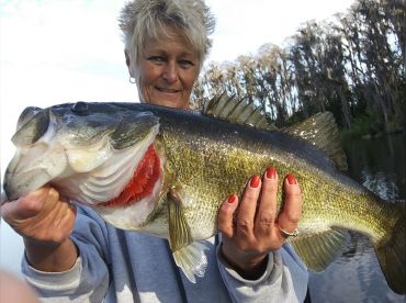 Get Hooked Bait & Tackle thumbnail