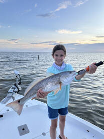 Gulf Shores Report Photo 1
