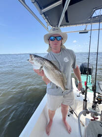 Gulf Shores Report Photo 2