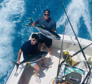 Sandys Report Photo 1