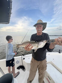 Gulf Shores Report Photo 1