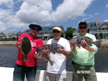 Black Drum biting