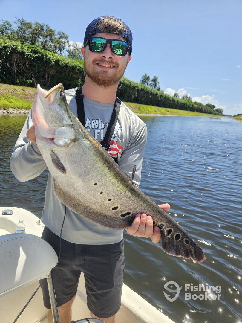 Delray Beach Report Photo 0