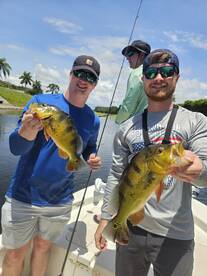 Delray Beach Report Photo 1