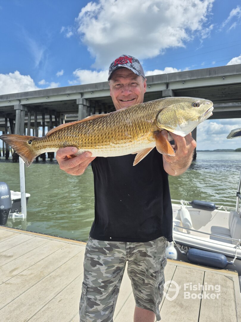Hilton Head Island Report Photo 0