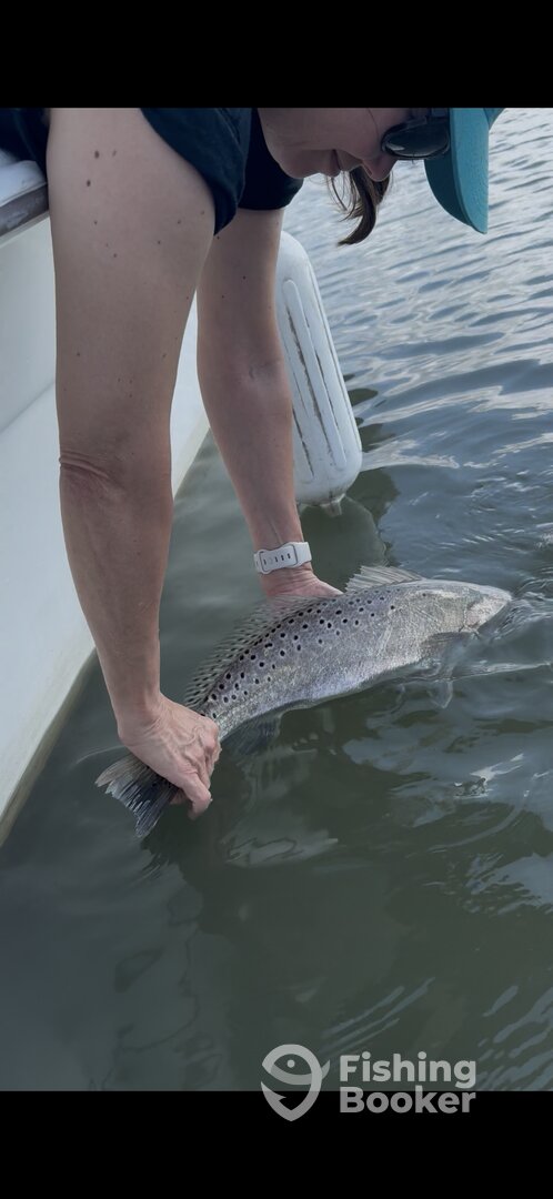 Beautiful 24” Speckled Trout Release