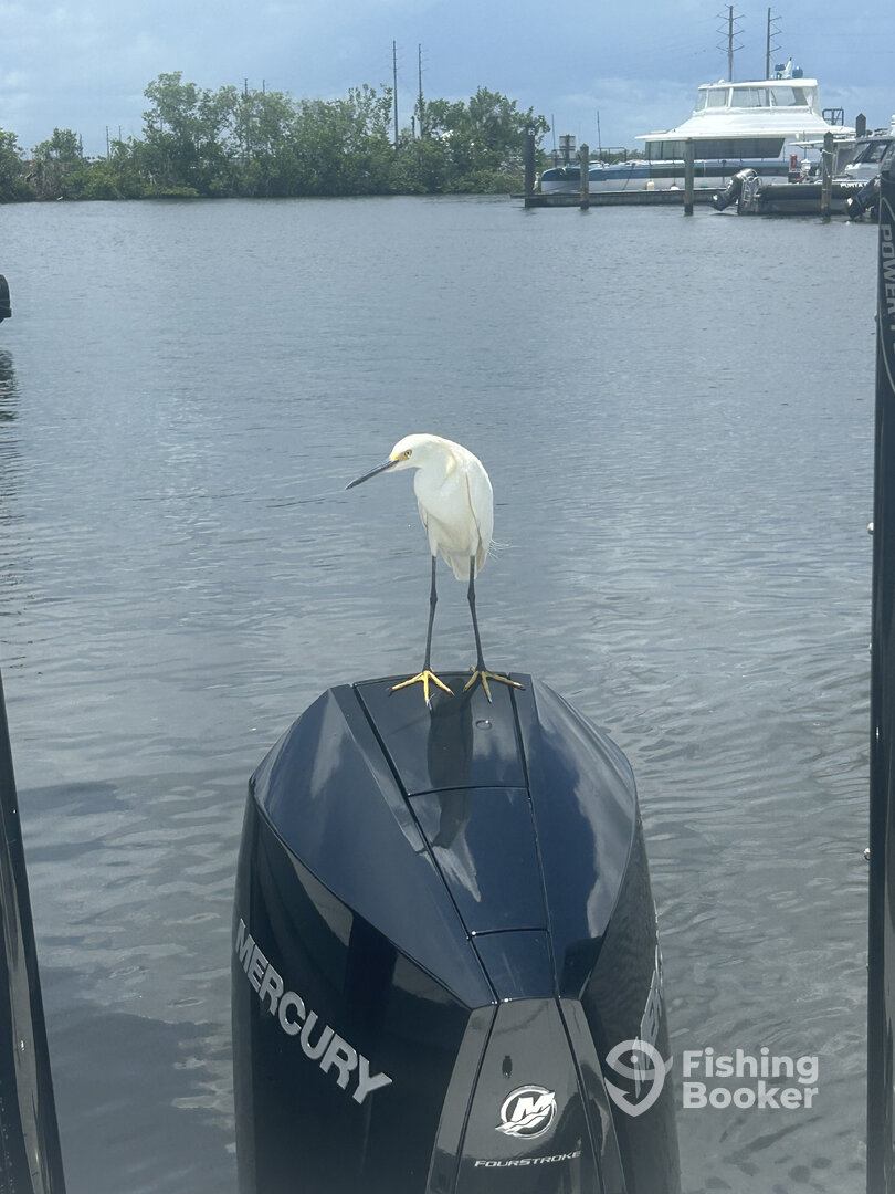 Punta Gorda Report Photo 0