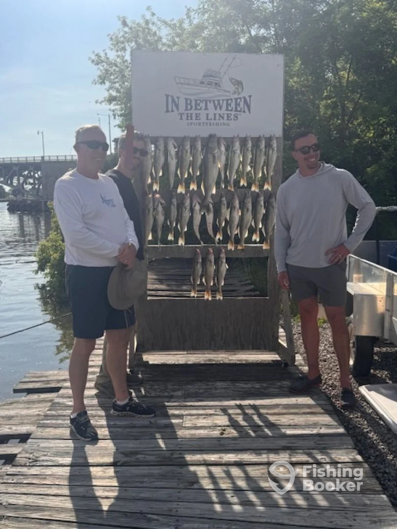 Limit catch out of Lorain