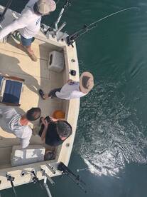 Mentor Report Photo 2