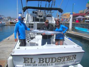 Cabo San Lucas Report Photo 1