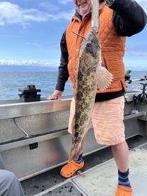 Lingcod jigging action! 