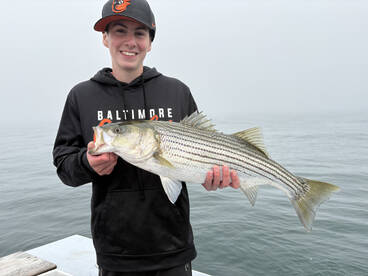 Narragansett Report Photo 2