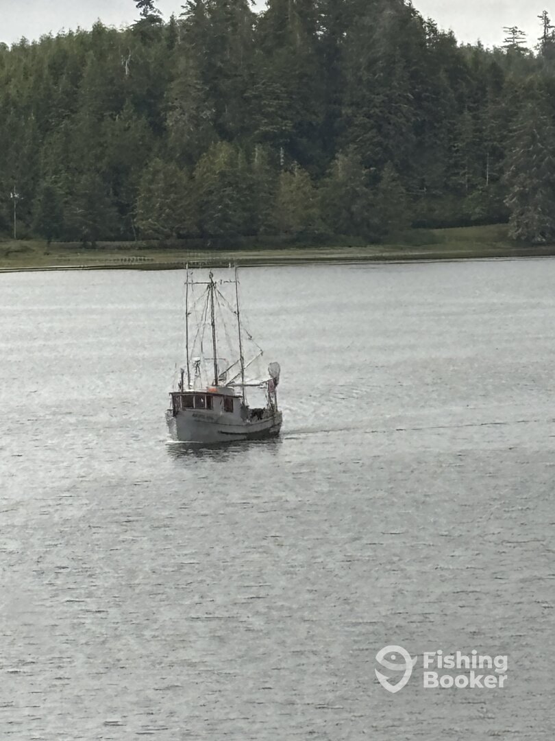 Ucluelet Report Photo 0