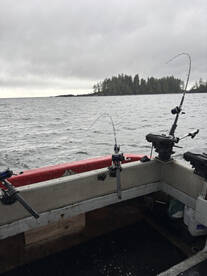 Ucluelet Report Photo 2