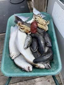 Sooke Report Photo 2