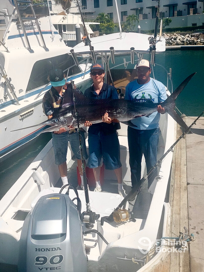 San Jose del Cabo Report Photo 0