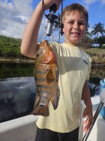 Delray Beach Report Photo 1