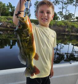 Delray Beach Report Photo 2