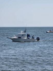 Slam and bluefish today