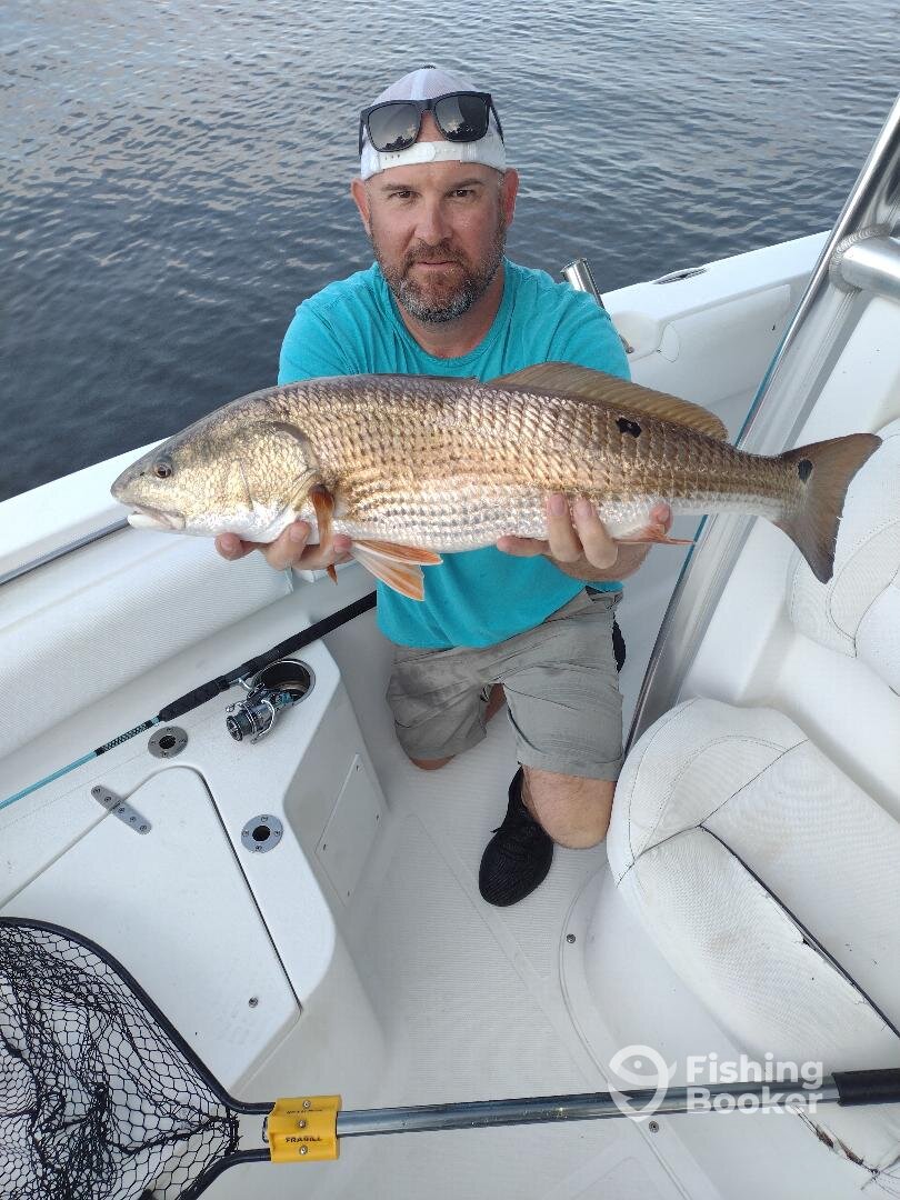 Goose Creek Report Photo 0