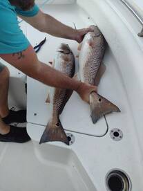 Goose Creek Report Photo 1