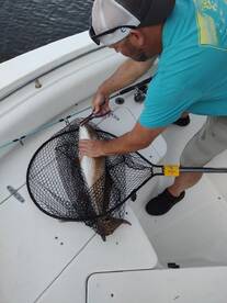 Goose Creek Report Photo 2