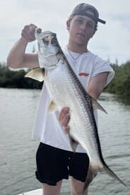 Tarpon Tours