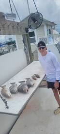 Niceville Report Photo 2